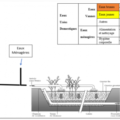 Aquatron phytoepuration