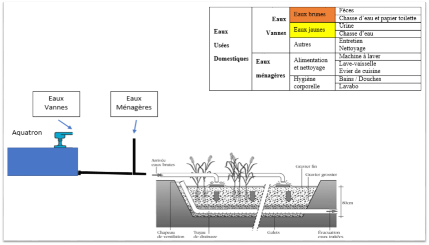 Aquatron phytoepuration