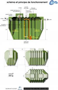 Dimensions epuralia