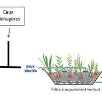 Phytoepuration avec systeme des toilettes ecologiques aquatron