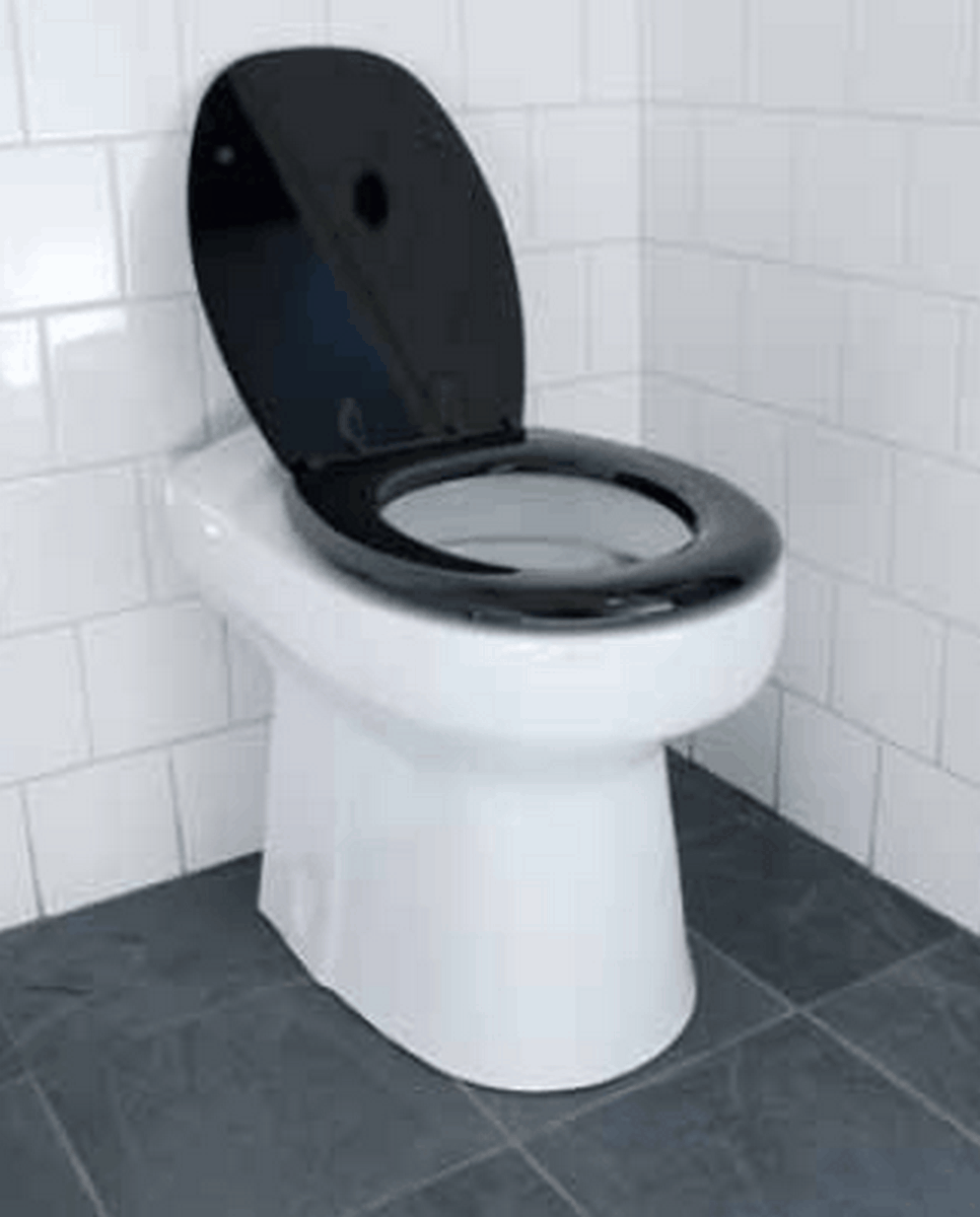 Toilette sèche à séparation d'urine