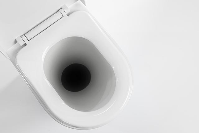 Toilettes seches ras 015 