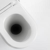 Toilettes seches ras 015 